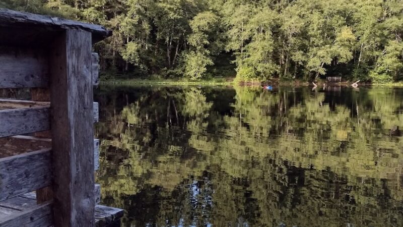 Hebo Lake Campground - Hebo, OR