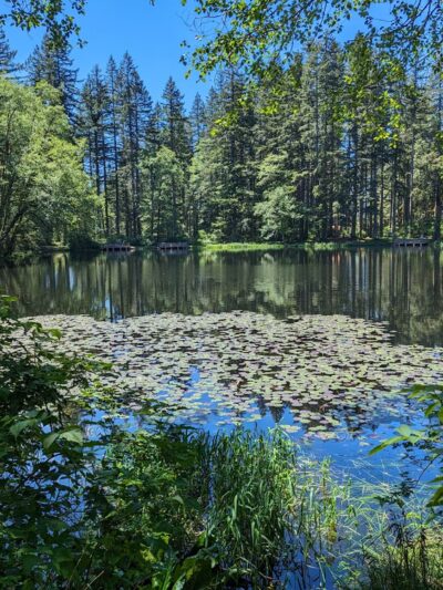 Hebo Lake Campground - Hebo, OR