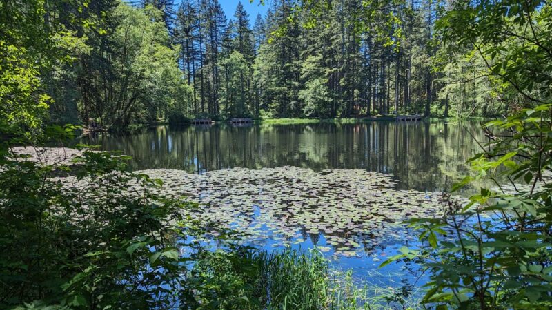 Hebo Lake Campground - Hebo, OR