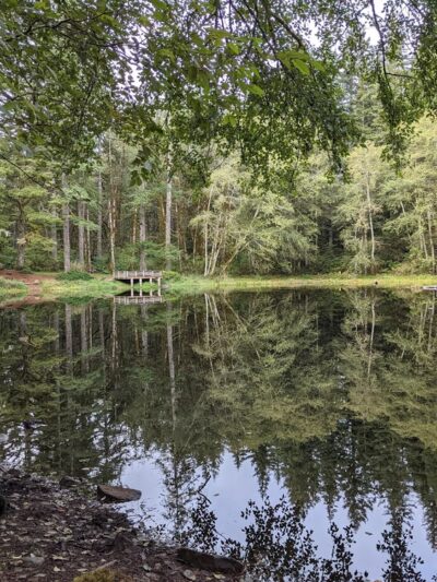 Hebo Lake Campground - Hebo, OR