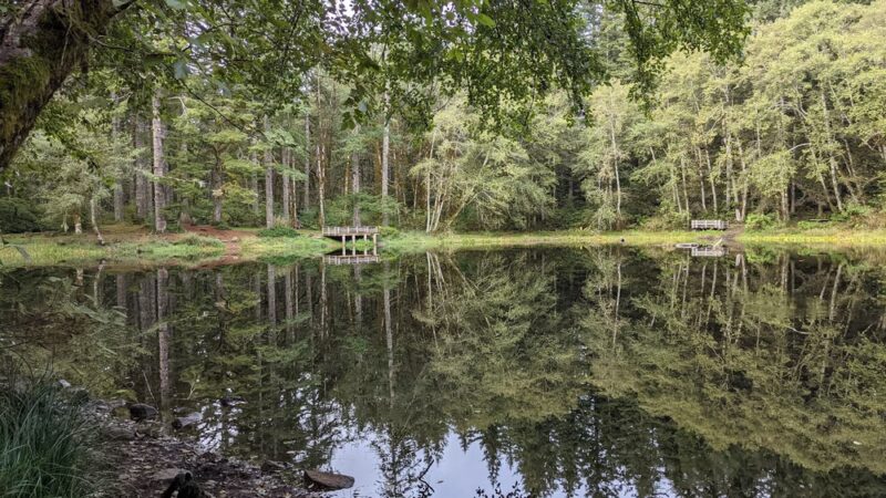 Hebo Lake Campground - Hebo, OR