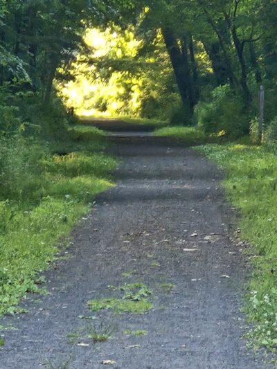 Airline State Park Trail - Hebron, CT