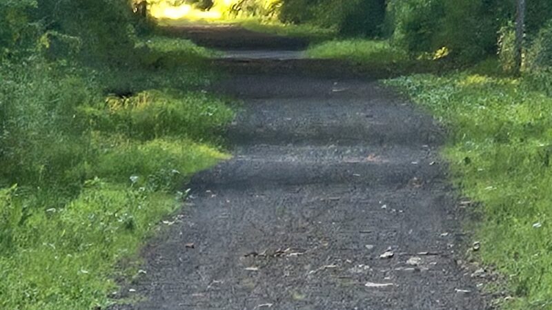Airline State Park Trail - Hebron, CT