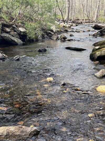 Airline State Park Trail - Hebron, CT