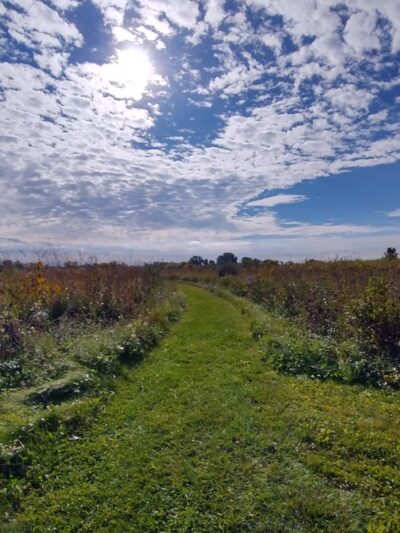 Winding Creek Conservation Area - Hebron, IL