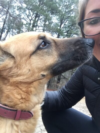 Salisbury Dog Walker - Hebron, MD
