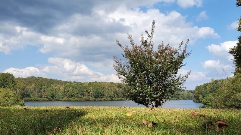 Heflin Community Restorative Garden and Dog Run - Heflin, AL