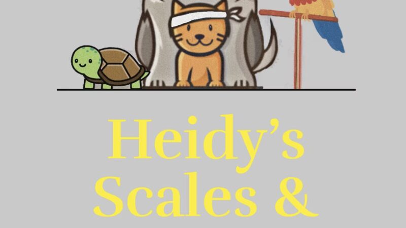 Heidy's Scales & Tails - ,