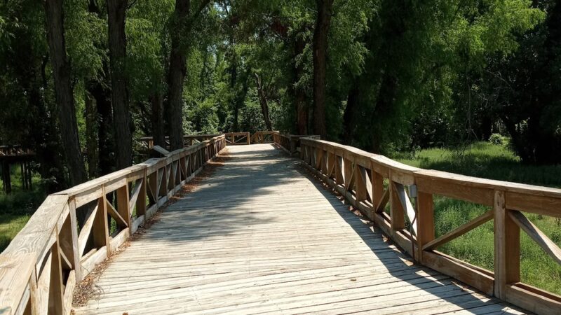 Helena River Park - Helena, AR