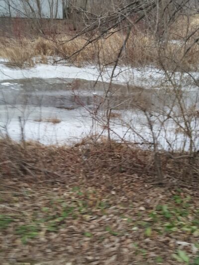Pohlmann Park - Helenville, WI