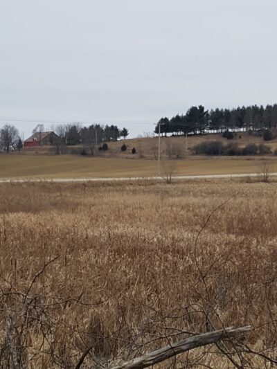Pohlmann Park - Helenville, WI