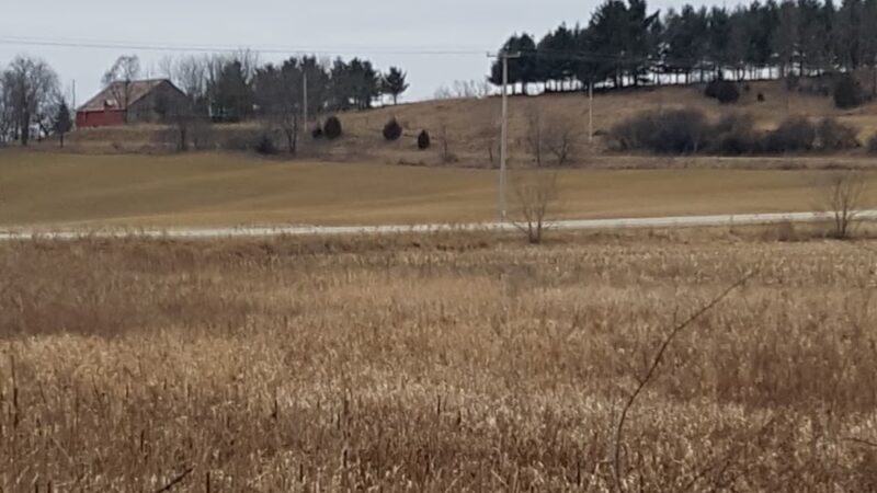 Pohlmann Park - Helenville, WI