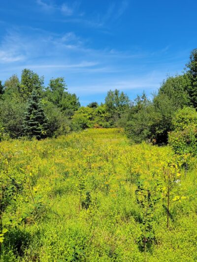 Sandra Yerger Community Recreation Area and Nature Preserve - Hellertown, PA