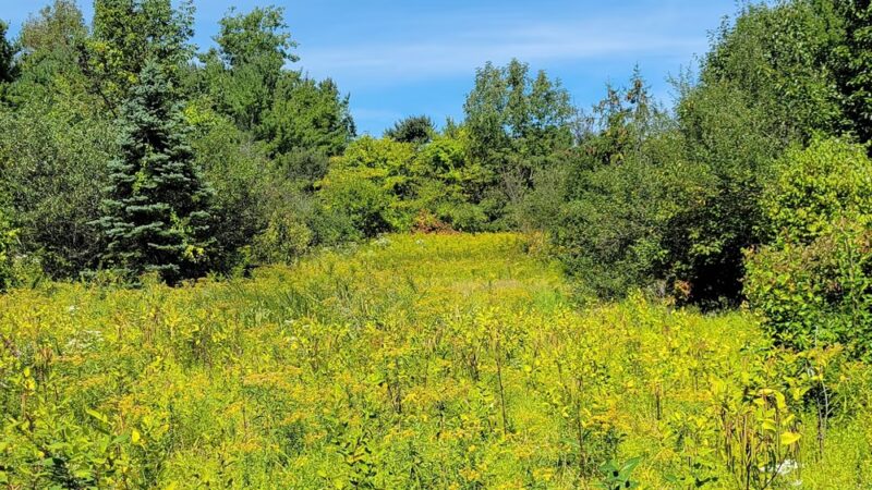 Sandra Yerger Community Recreation Area and Nature Preserve - Hellertown, PA
