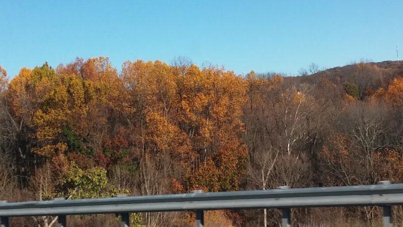 Sandra Yerger Community Recreation Area and Nature Preserve - Hellertown, PA