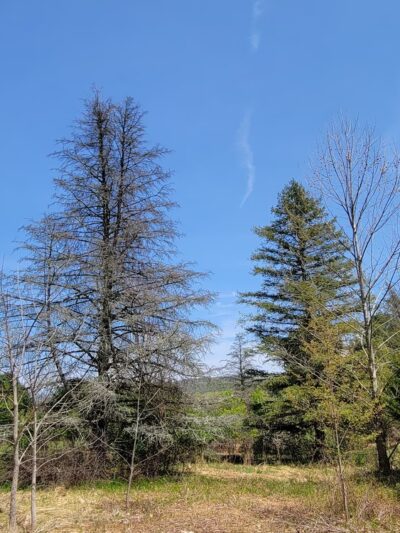 Sandra Yerger Community Recreation Area and Nature Preserve - Hellertown, PA