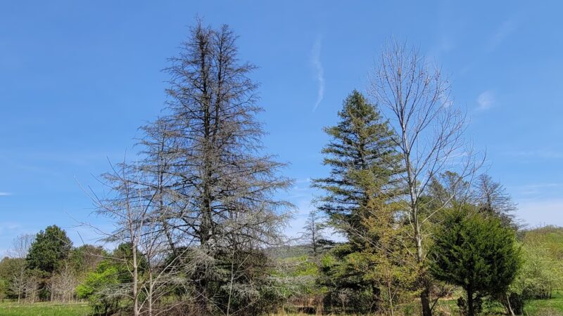 Sandra Yerger Community Recreation Area and Nature Preserve - Hellertown, PA