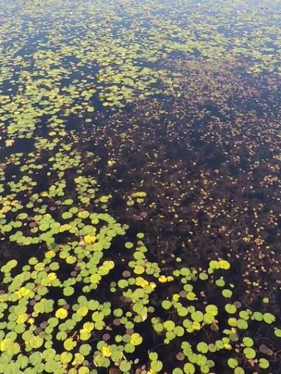 Helmetta Lake Park - Helmetta, NJ