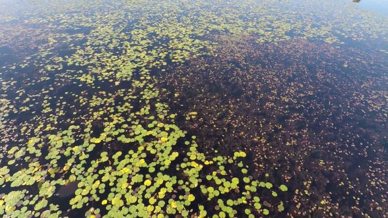 Helmetta Lake Park - Helmetta, NJ