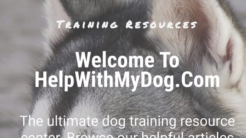 Help With My Dog - ,