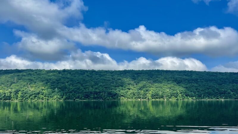 Hemlock Lake North Boat Launch - Hemlock, NY