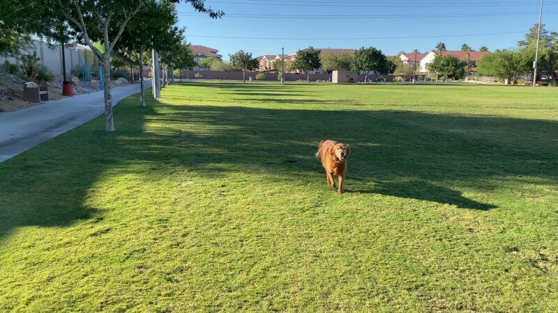 Horizon Crest Park - Henderson, NV