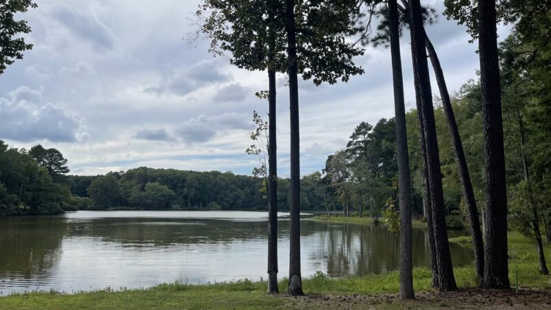 Fox Pond Park - Henderson, NC