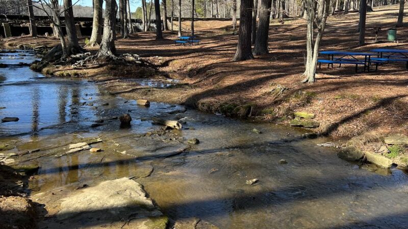 Fox Pond Park - Henderson, NC