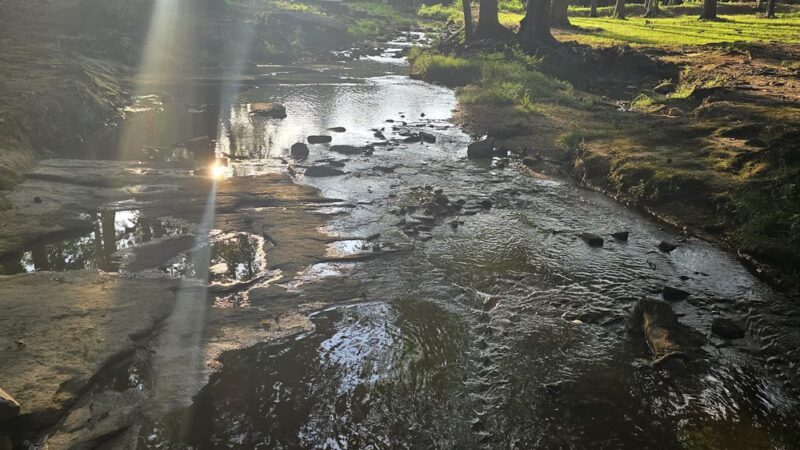 Fox Pond Park - Henderson, NC