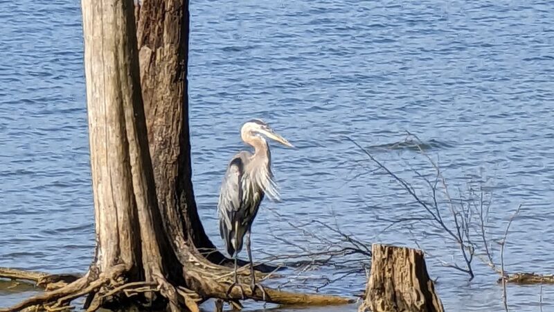 Kerr Lake State Recreation Area - Henderson, NC