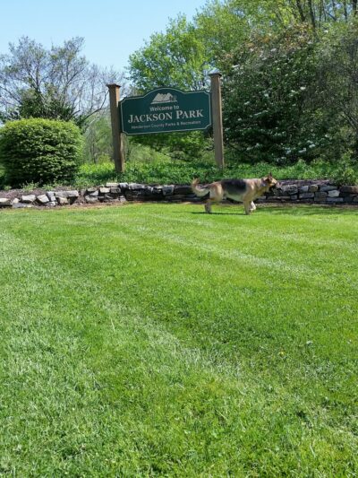 Jackson Park - Hendersonville, NC