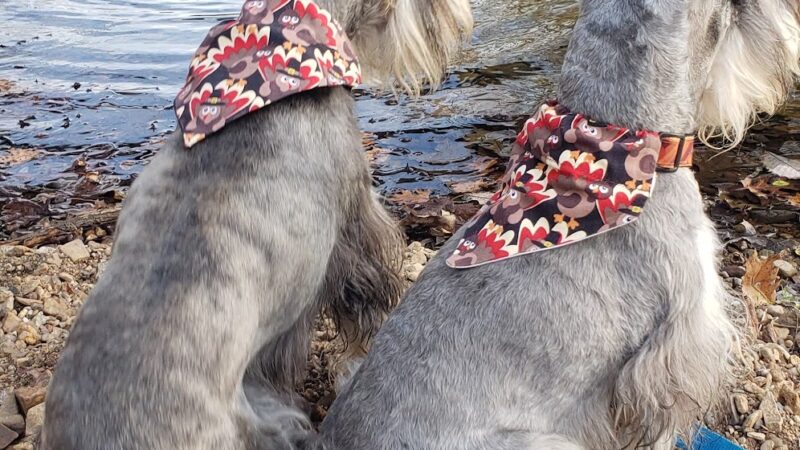 Hendersonville Greenway Trails - Hendersonville, TN