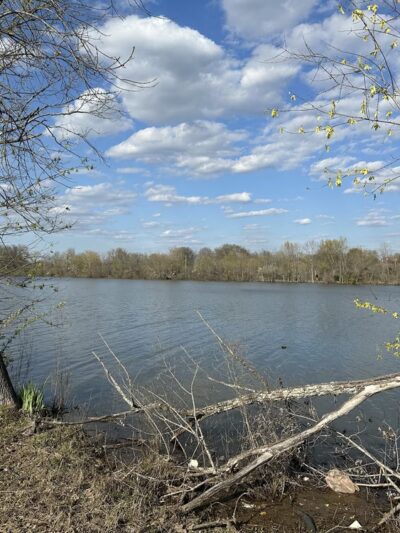 Sanders Ferry Greenway - Hendersonville, TN