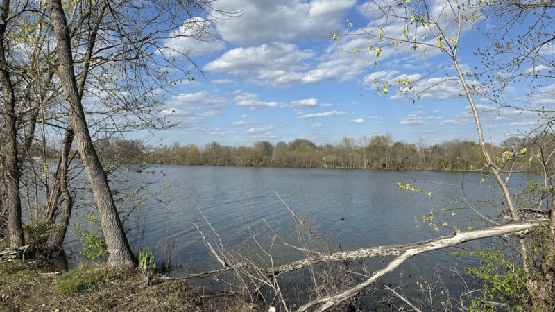 Sanders Ferry Greenway - Hendersonville, TN
