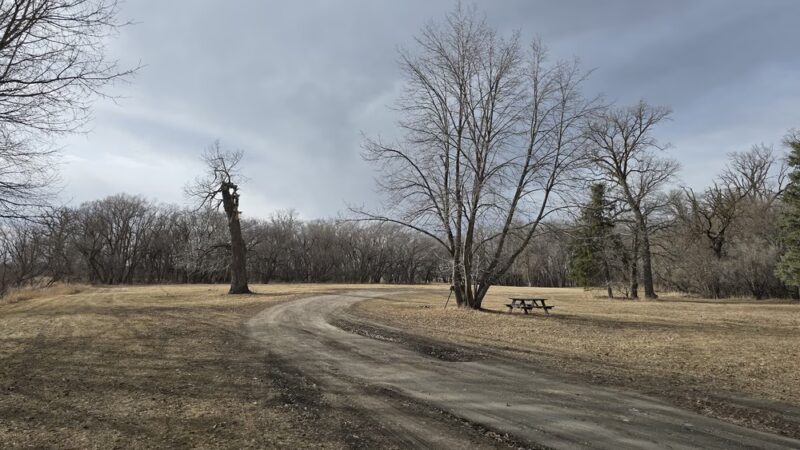 Nichol Park - Hendrum, MN