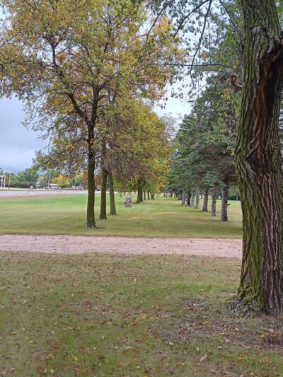 Amundson Park - Henning, MN