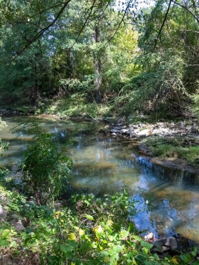 Spring Park - Henrico, VA