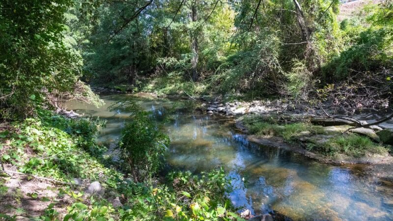 Spring Park - Henrico, VA