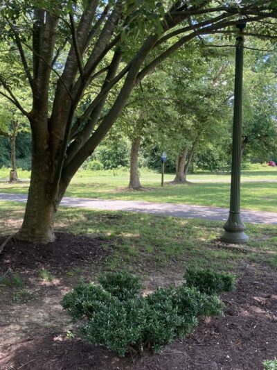 Spring Park - Henrico, VA