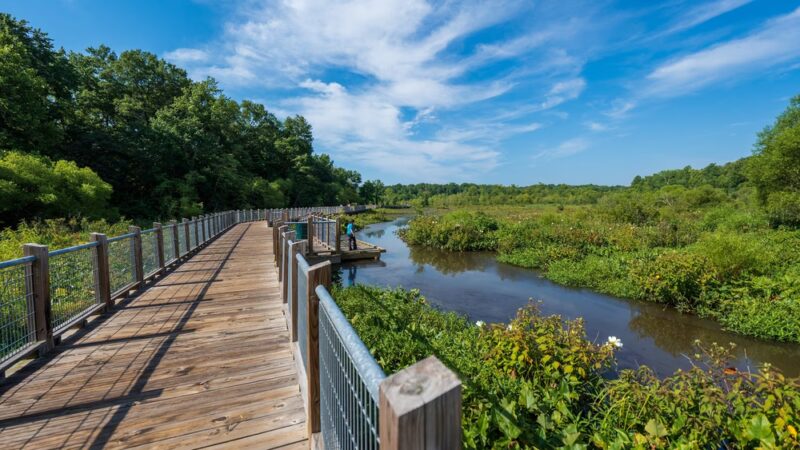 Tuckahoe Creek Park - Henrico, VA