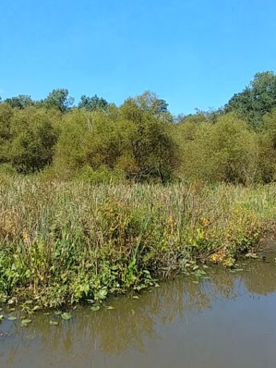 Tuckahoe Creek Park - Henrico, VA