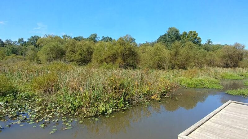 Tuckahoe Creek Park - Henrico, VA