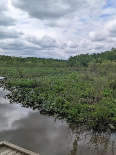 Tuckahoe Creek Park - Henrico, VA