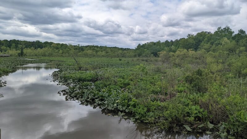 Tuckahoe Creek Park - Henrico, VA