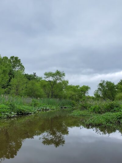 Tuckahoe Creek Park - Henrico, VA