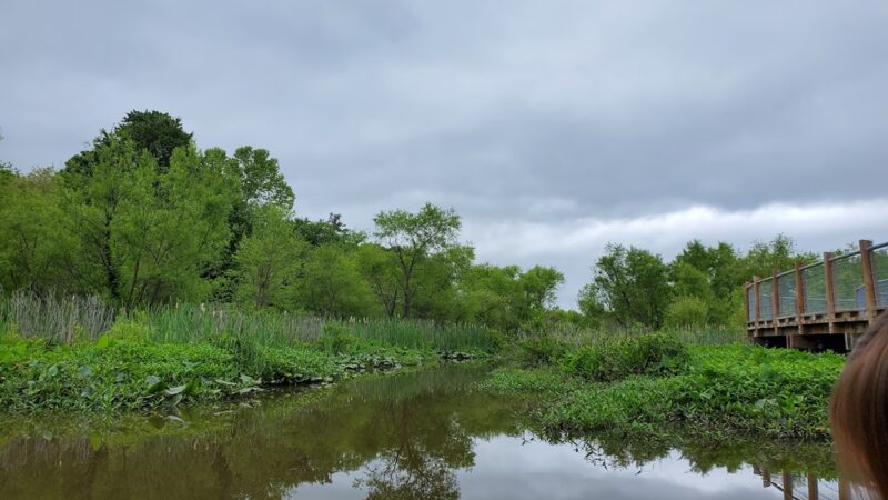 Tuckahoe Creek Park - Henrico, VA