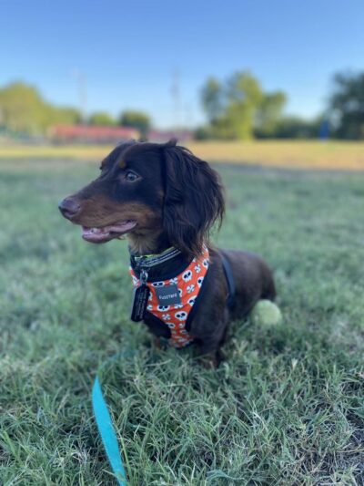 McCutcheon Park - Henryetta, OK
