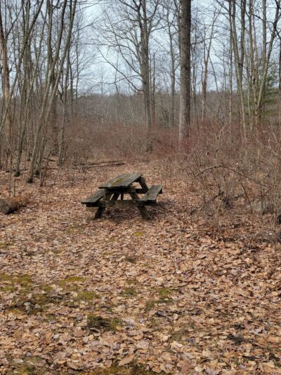 Browns Hill Preserve - Henryville, PA