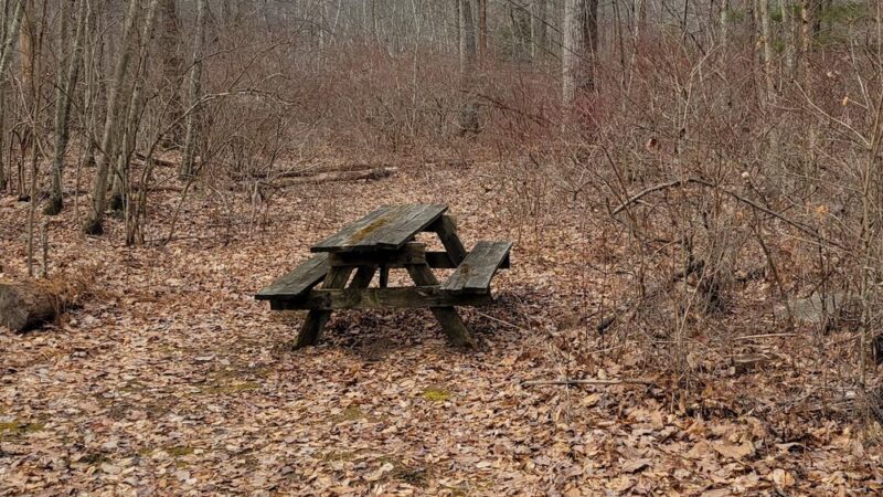 Browns Hill Preserve - Henryville, PA