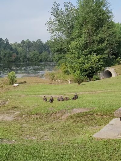 Diamond Lakes Regional Park - Hephzibah, GA